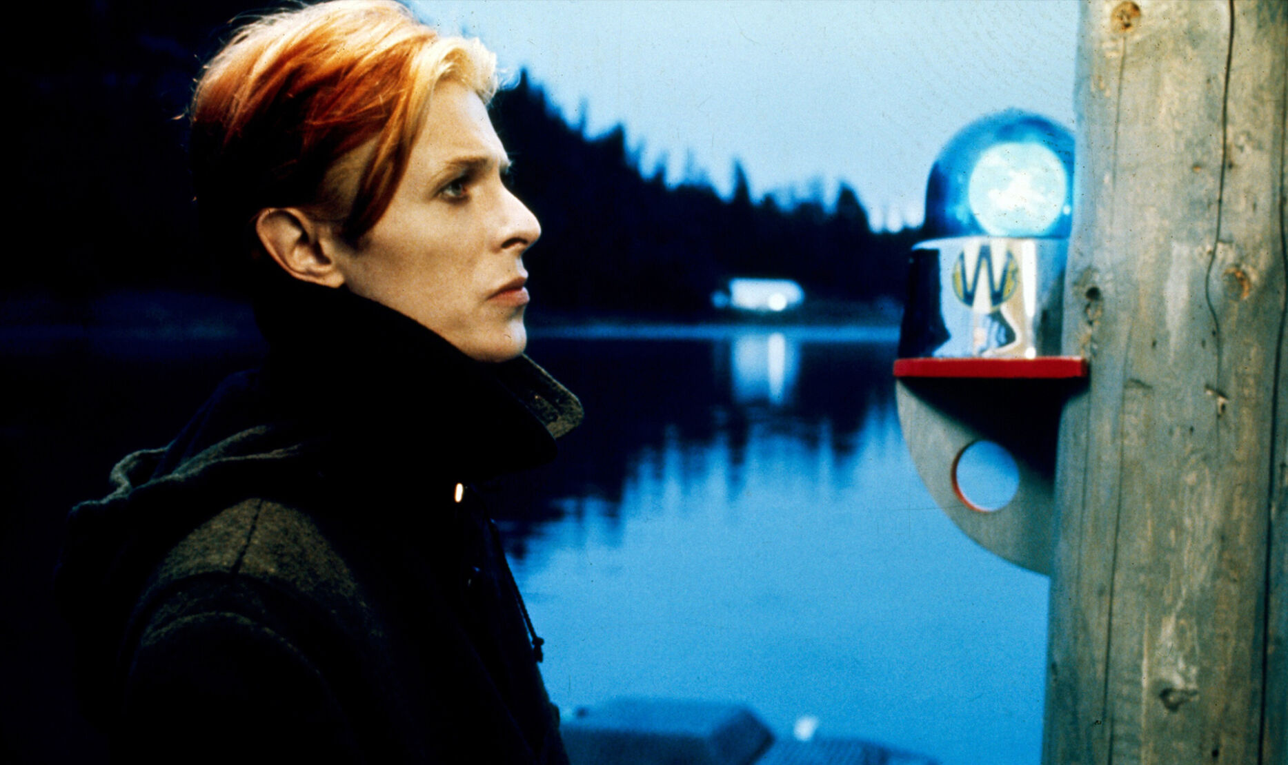 The Man Who Fell to Earth
